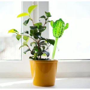 Cute Cactus Glass Plant Water Feeder Automatic Self Watering Devices Auto Plants Drip Irrigation System Home Watering Tools