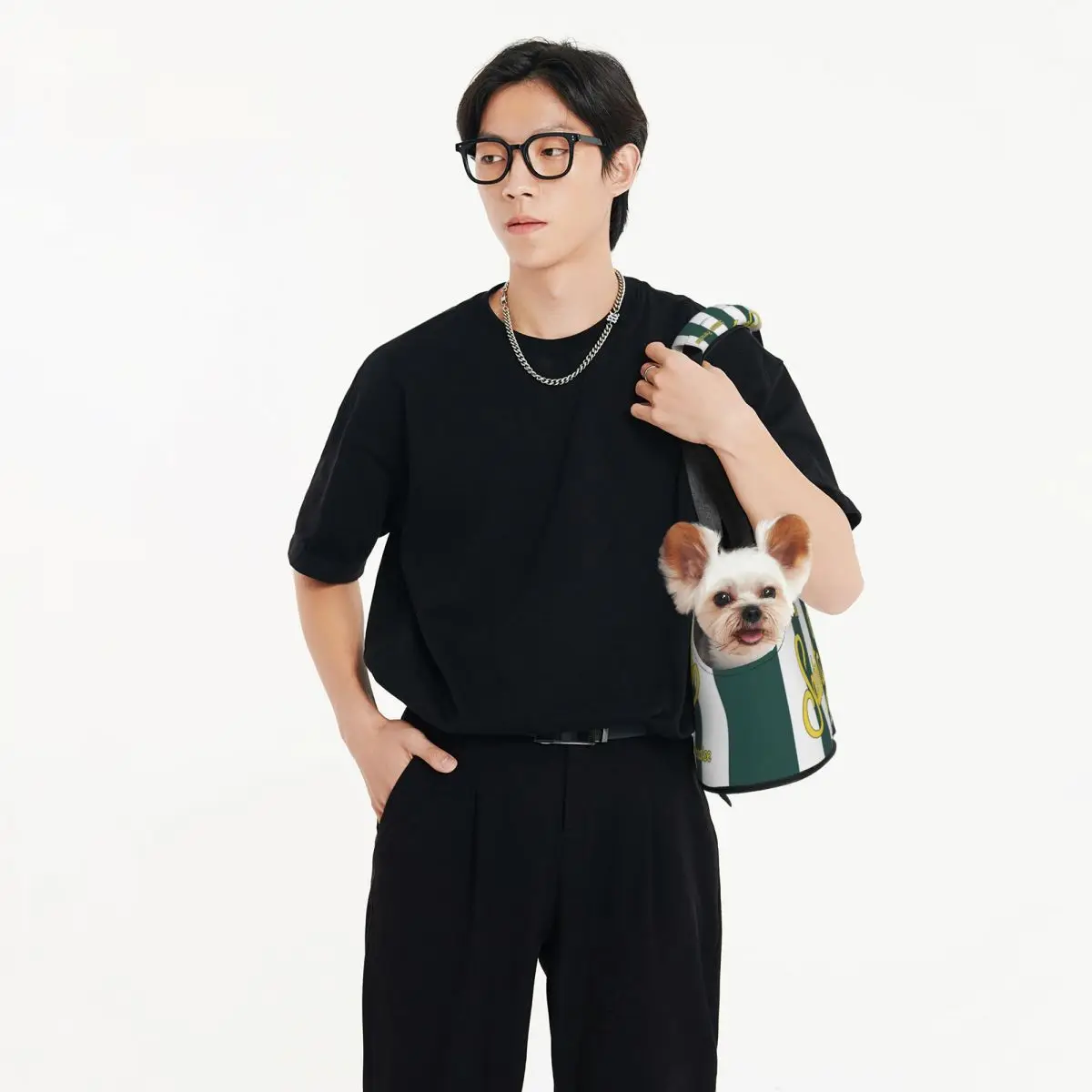 S-Saint-B-Barth Foldable Pet Tote Bag for Small Dogs and Cats - Portable Shoulder Carrier, Waterproof & Tear-Resistant - Image 4