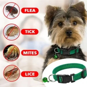 Effective Adjustable Outdoor Kill Insect Insecticidal Anti Flea Mite Tick Dog Collar Neck Strap Pet Suppies