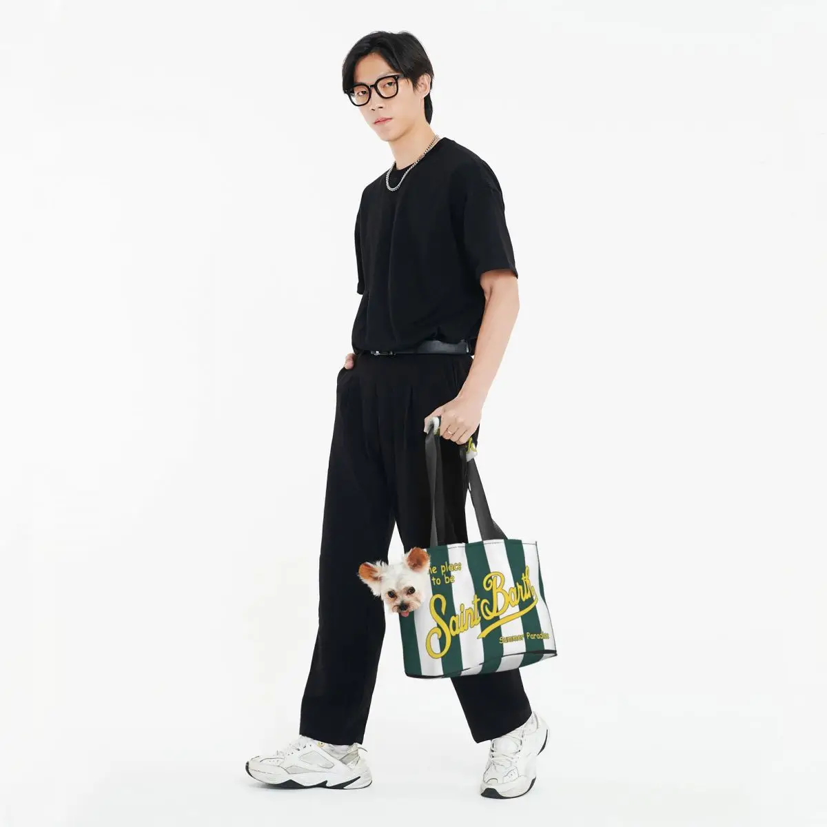 S-Saint-B-Barth Foldable Pet Tote Bag for Small Dogs and Cats - Portable Shoulder Carrier, Waterproof & Tear-Resistant - Image 5